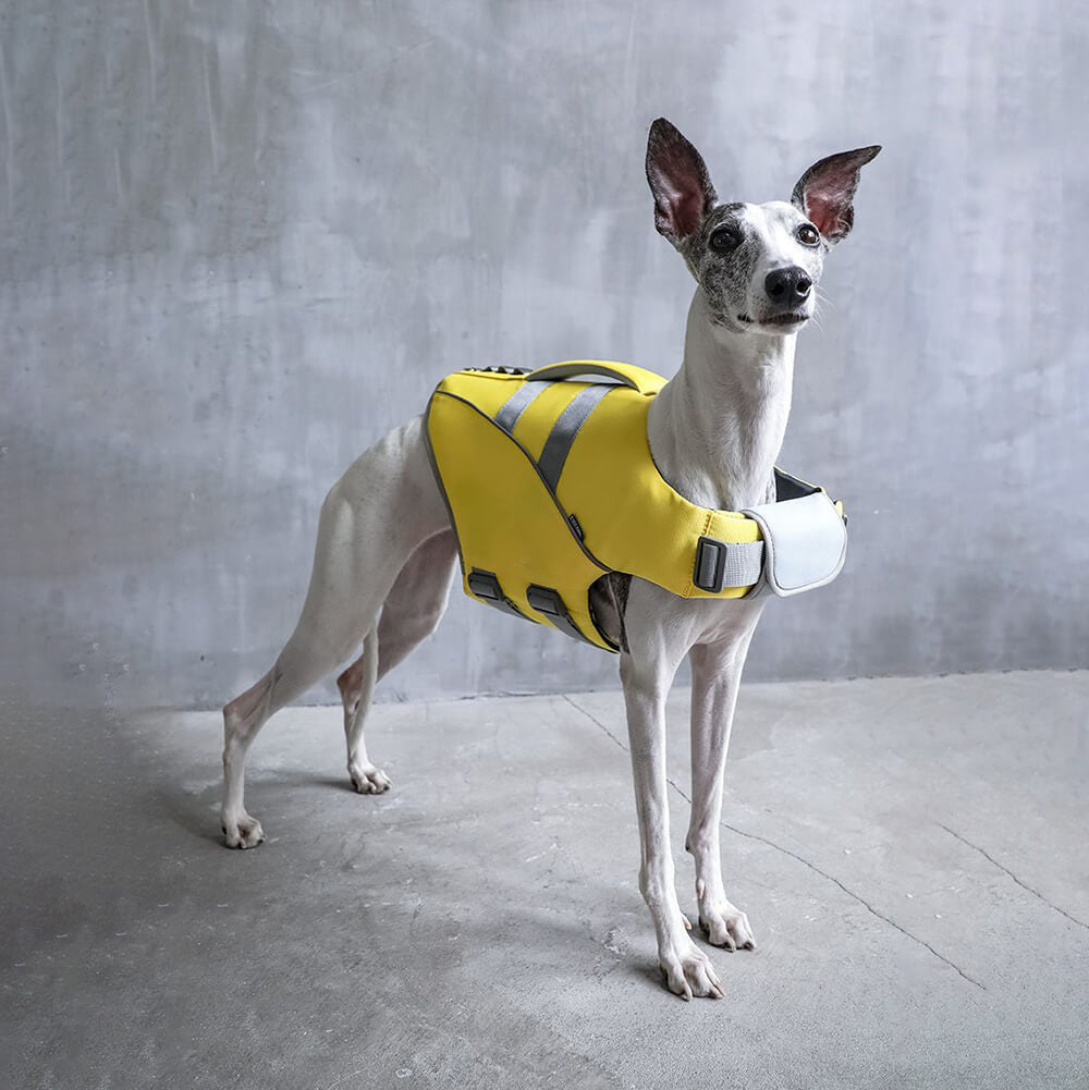 Hundeschwimmweste - Rettungsschwimmer