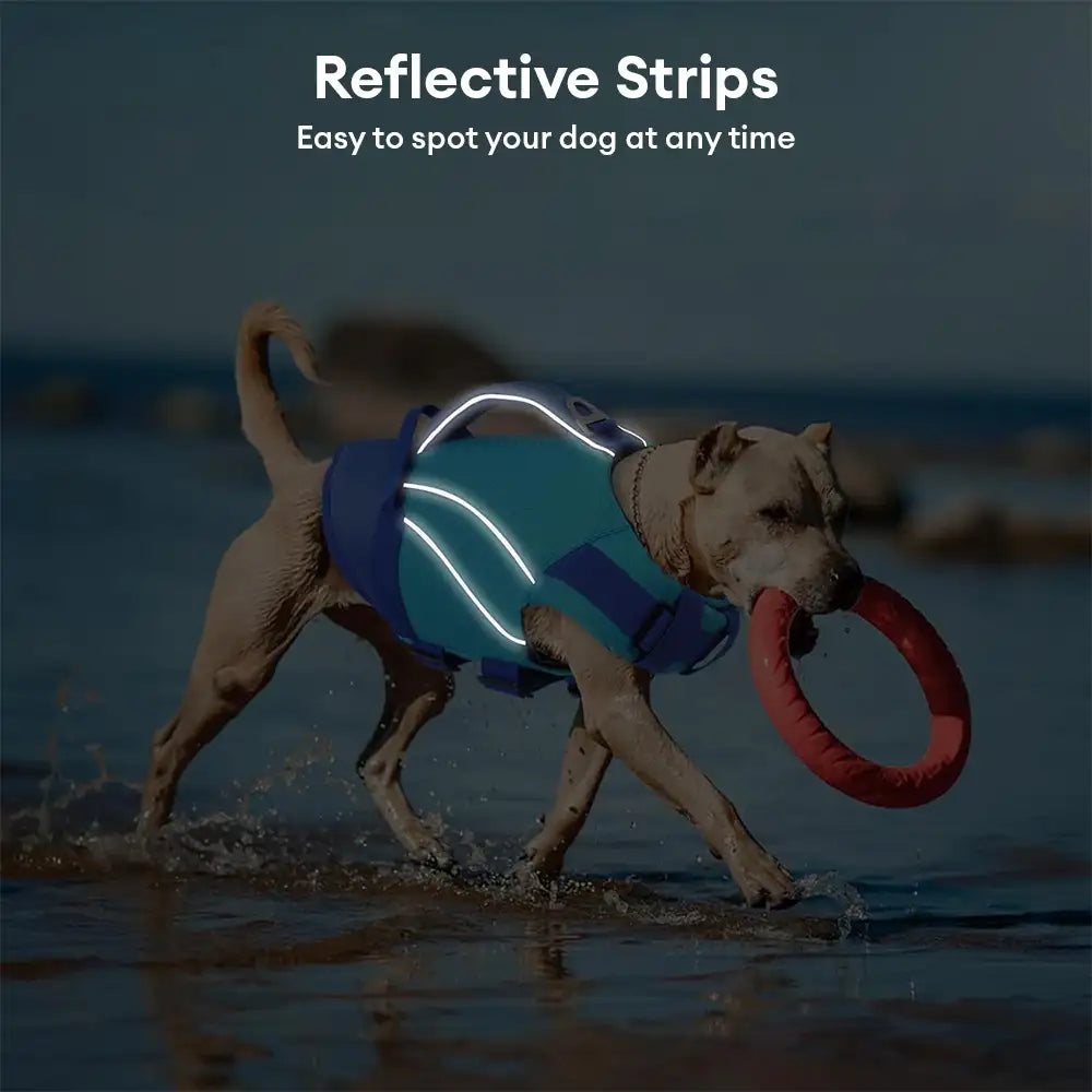 Dog Life Jacket with Detachable Chin Support