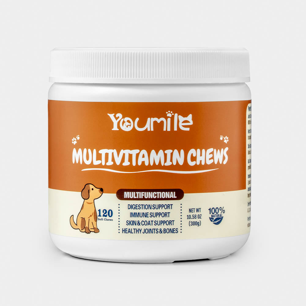 Dog Multivitamin Treats for Immune Health and Skin & Coat Support - 120 Count