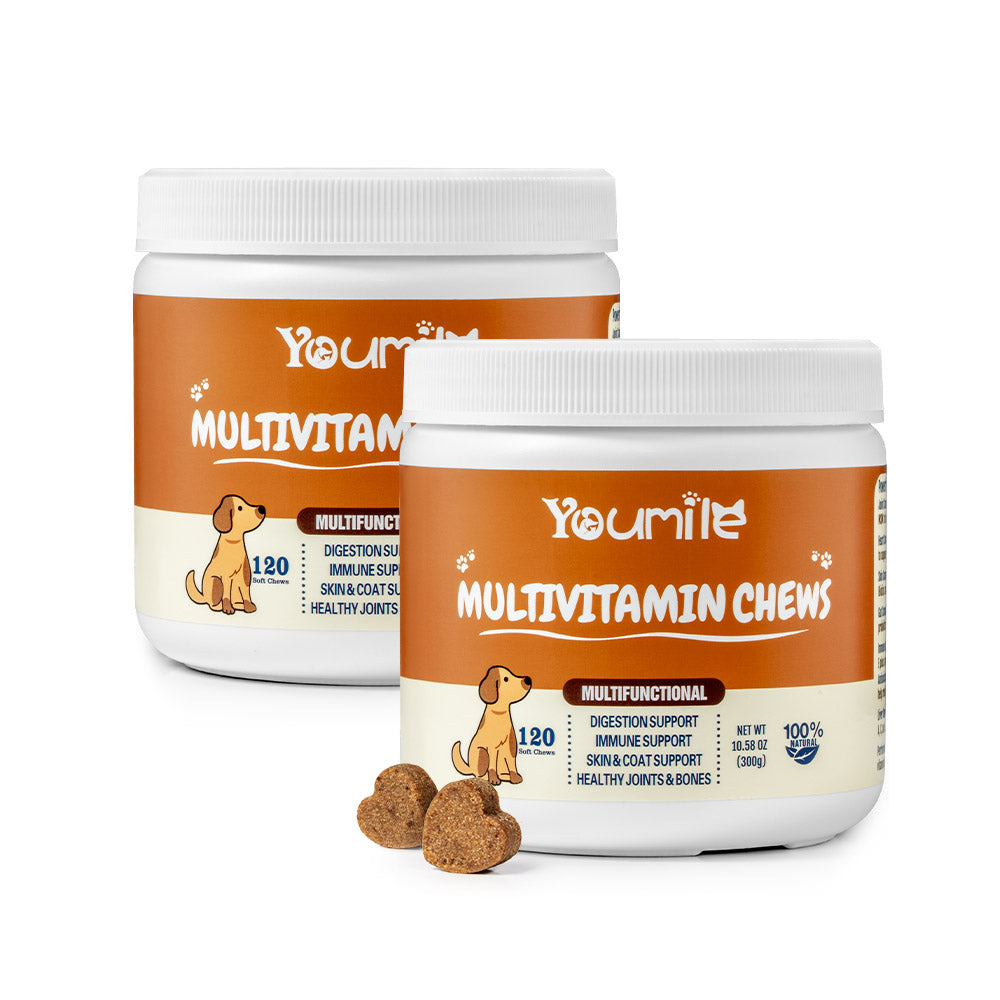 Dog Multivitamin Treats for Immune Health and Skin & Coat Support - 120 Count
