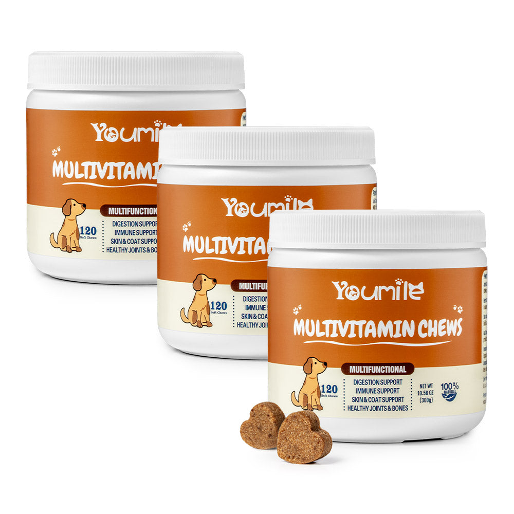 Dog Multivitamin Treats for Immune Health and Skin & Coat Support - 120 Count