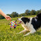 Dog Soccer Ball with Straps Interactive Toy