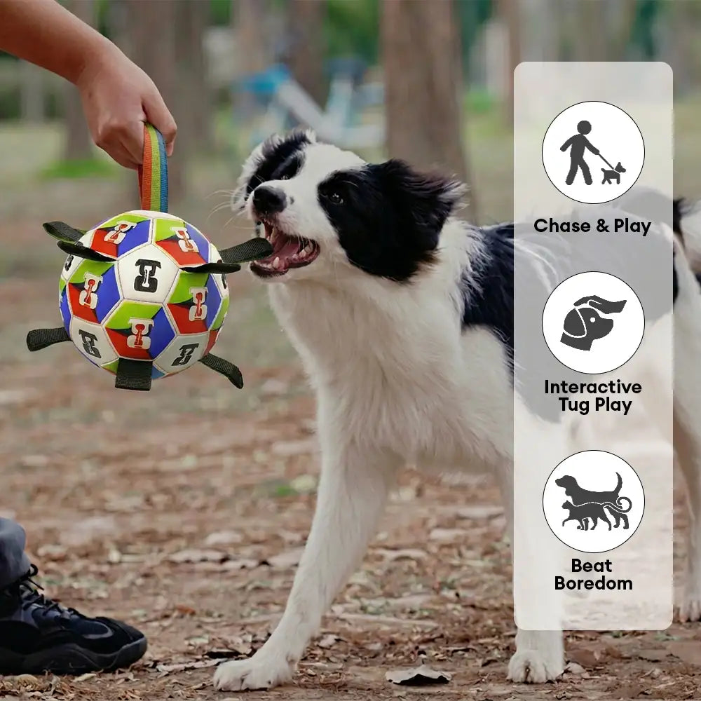 Dog Soccer Ball with Straps Interactive Toy
