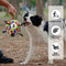 Dog Soccer Ball with Straps Interactive Toy