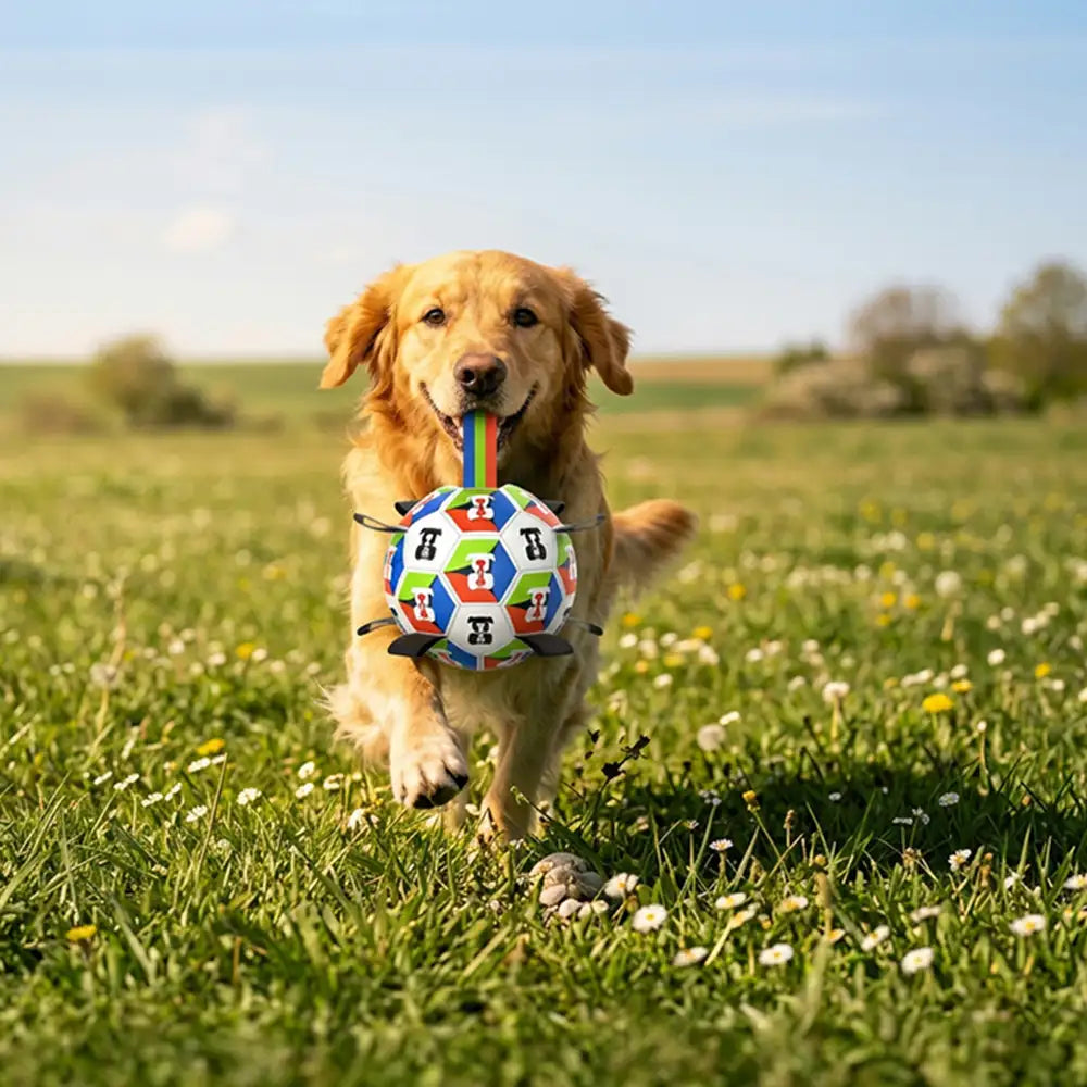 Dog Soccer Ball with Straps Interactive Toy