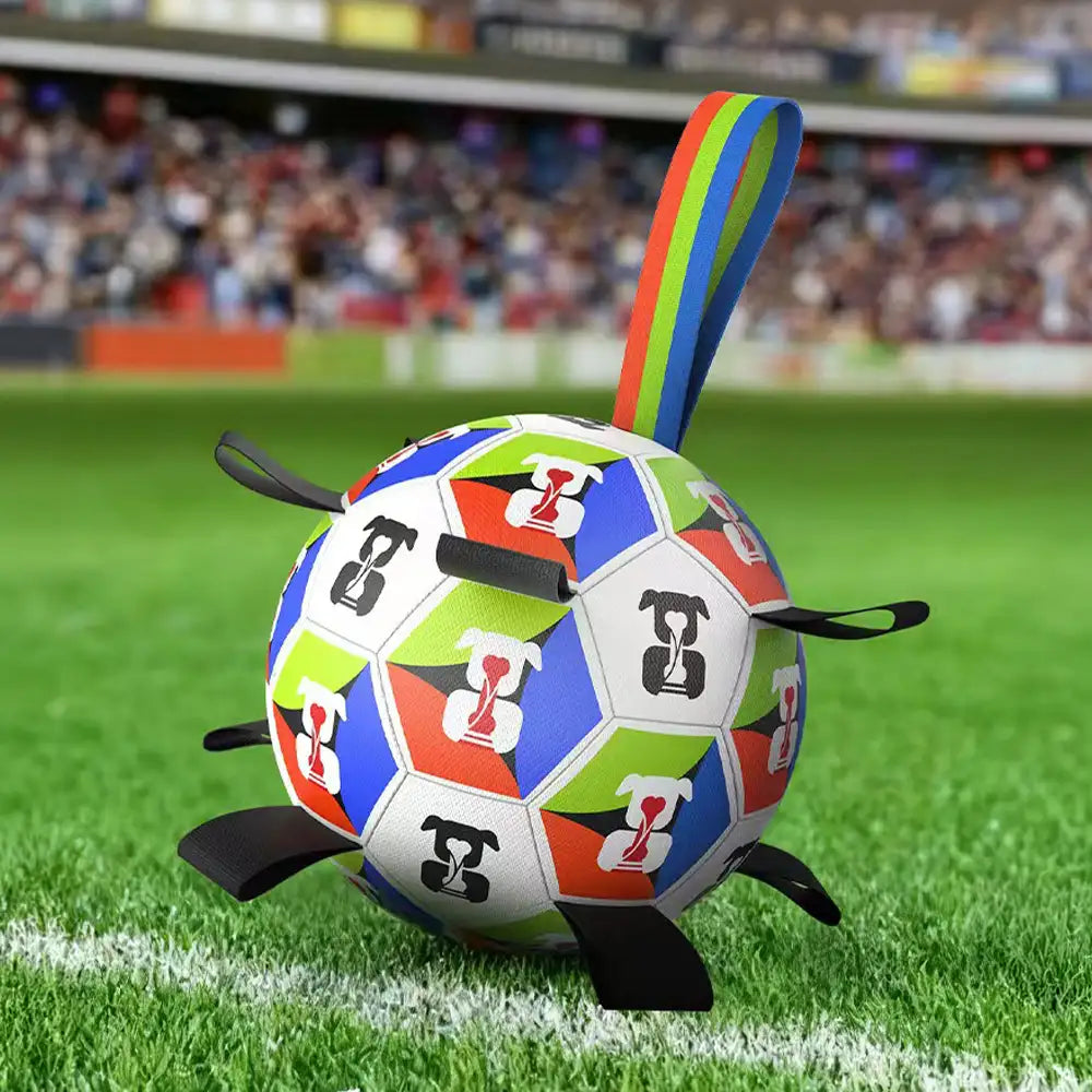 Dog Soccer Ball with Straps Interactive Toy