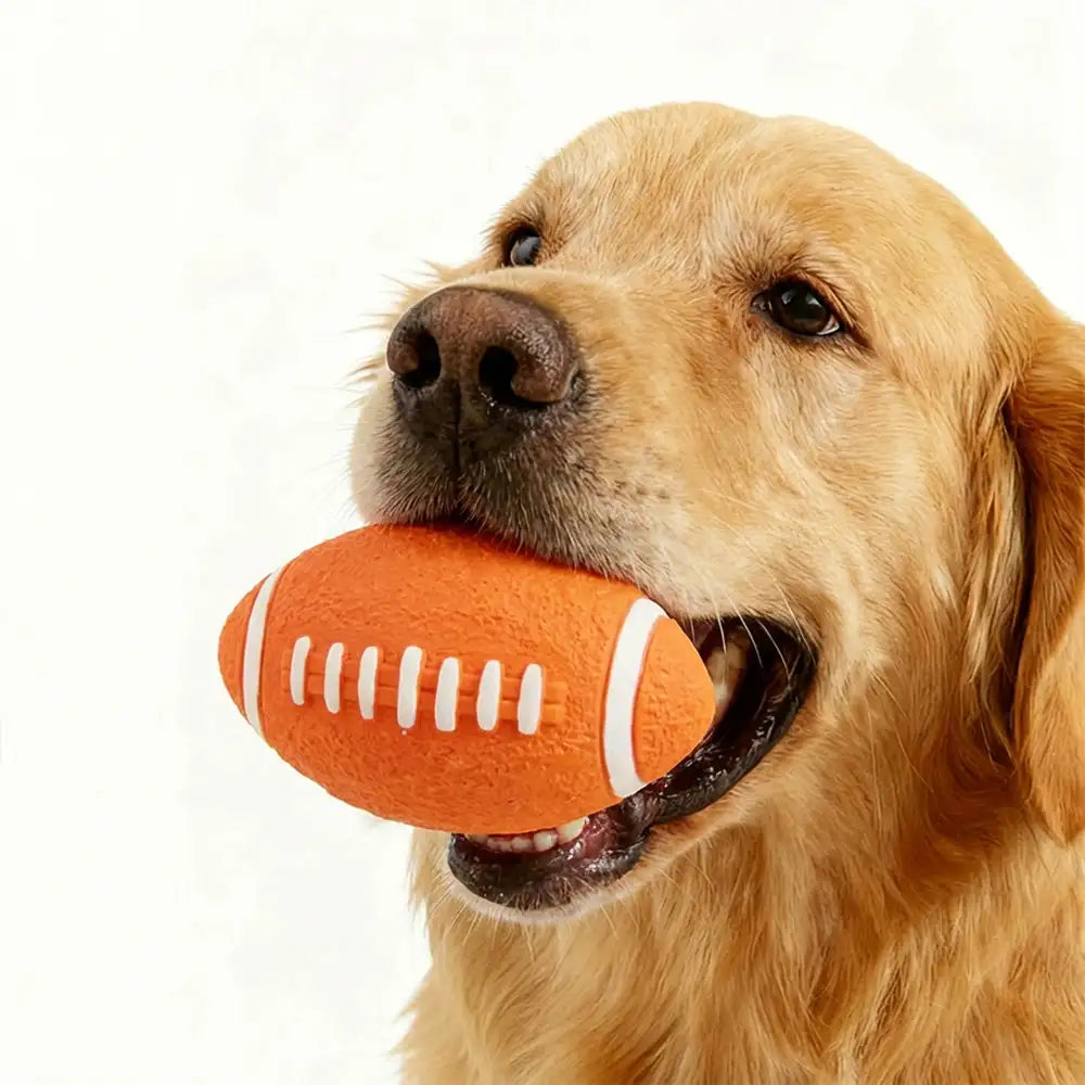 Durable Latex Teething With Squeaker Dog Chew Toy