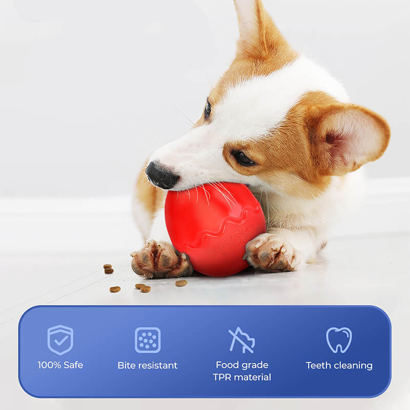 Ovo em forma de alimentador lento cão mastigar brinquedos interativos para cães