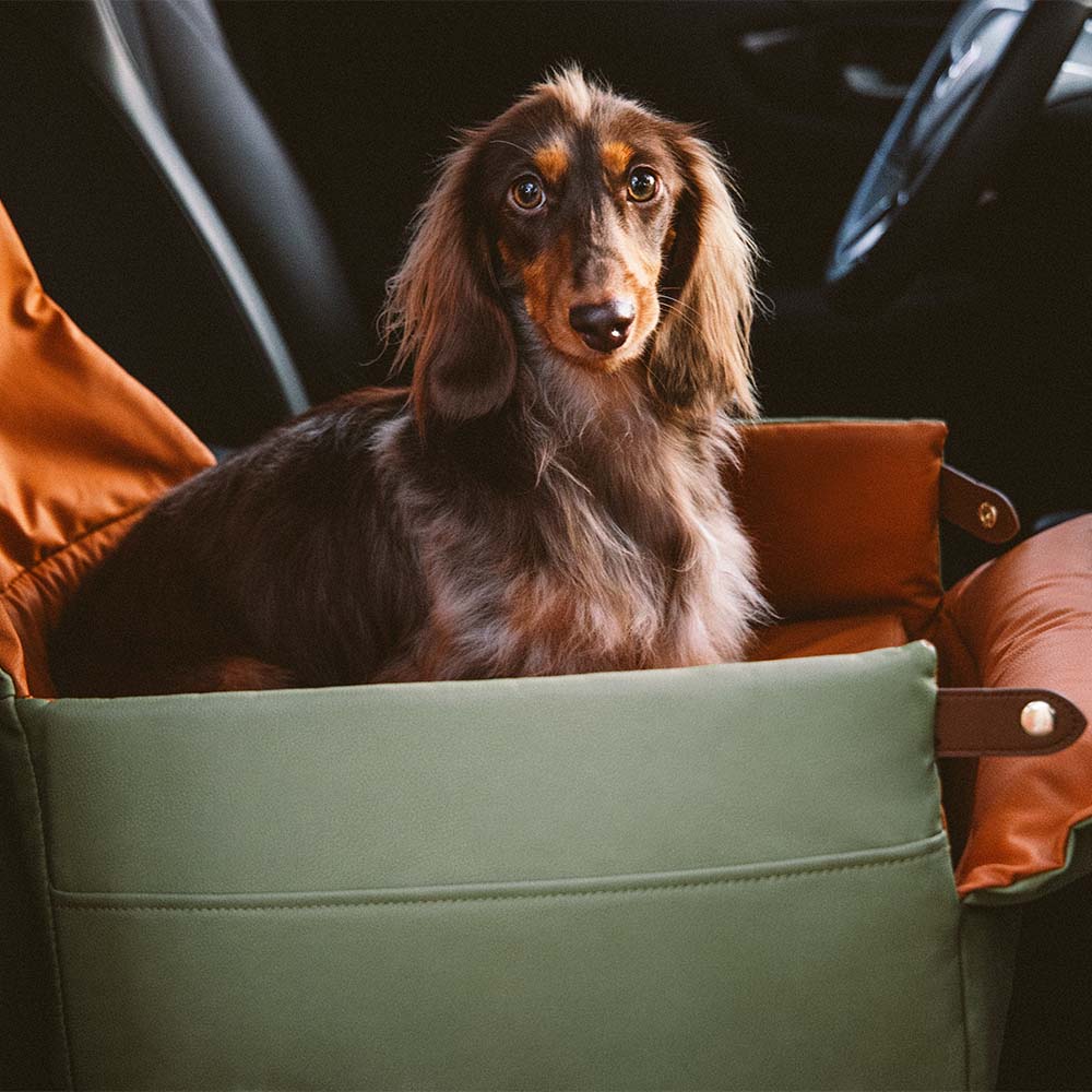 Elevated Faux Leather Deluxe Dog Car Seat Booster Bed - Urban Voyager