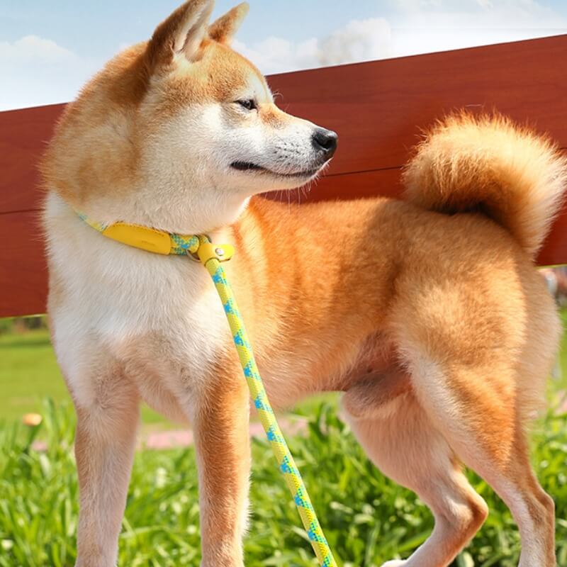 Explosionsgeschützte geflochtene Hundeleine aus Nylon, die nicht zieht