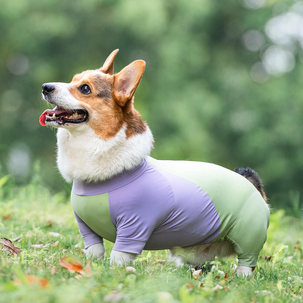 Protetor solar extra grande para cachorro Onesie com resfriamento de roupas para cachorro