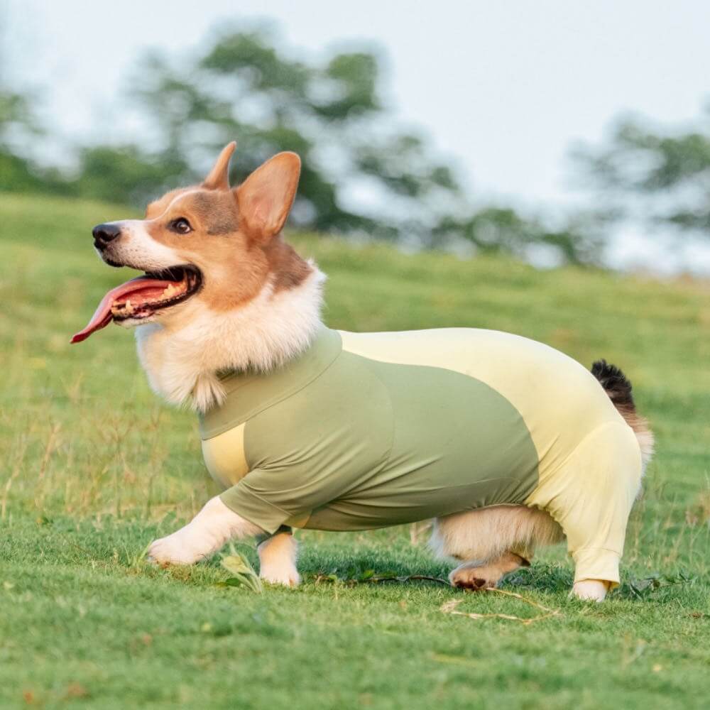 Vêtements pour chien rafraîchissants avec protection solaire extra large et extensible