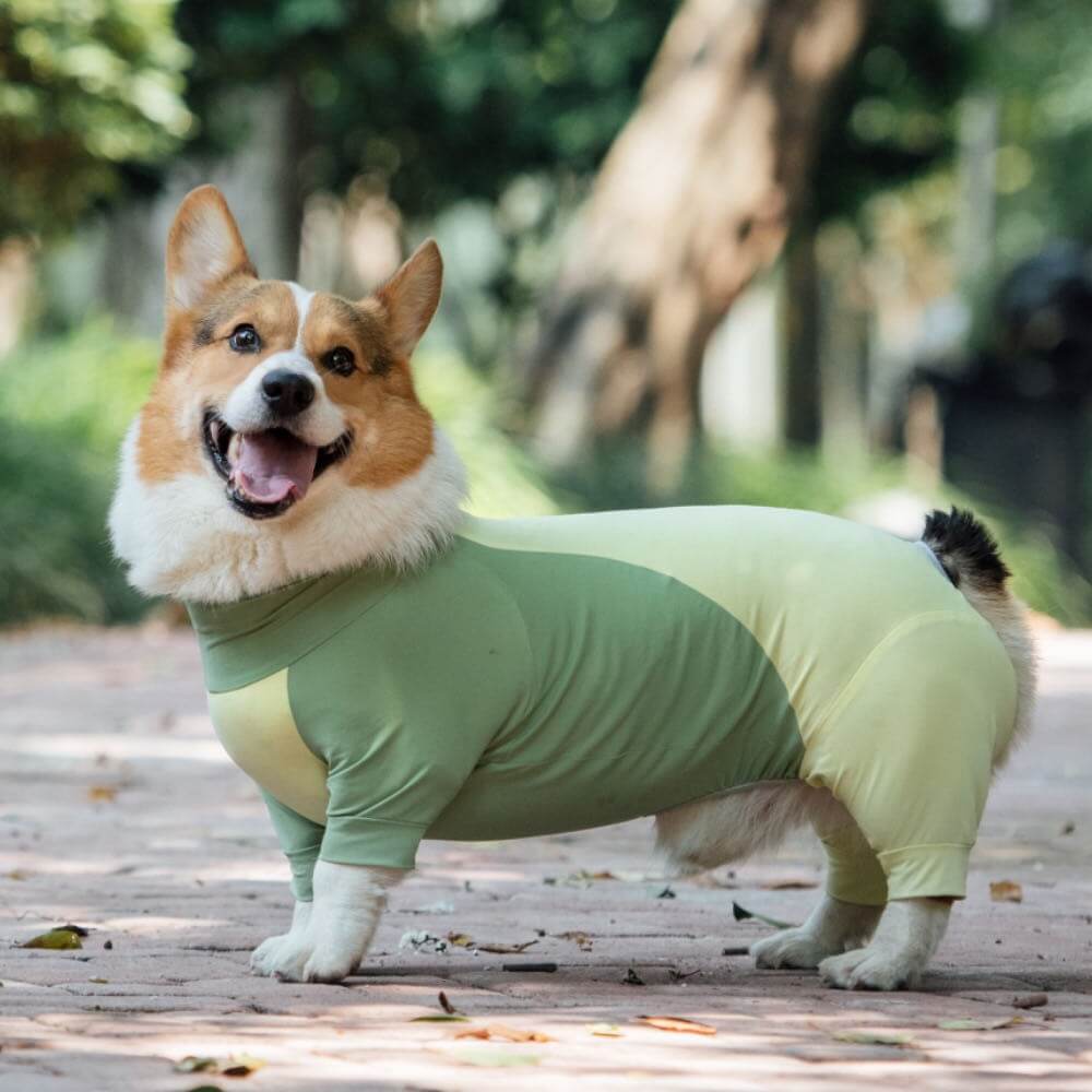 Extra Large Stretch Sunblock Dog Onesie Cooling Dog Clothes
