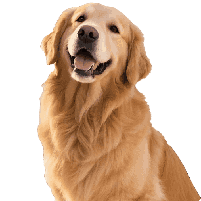 Para perros grandes