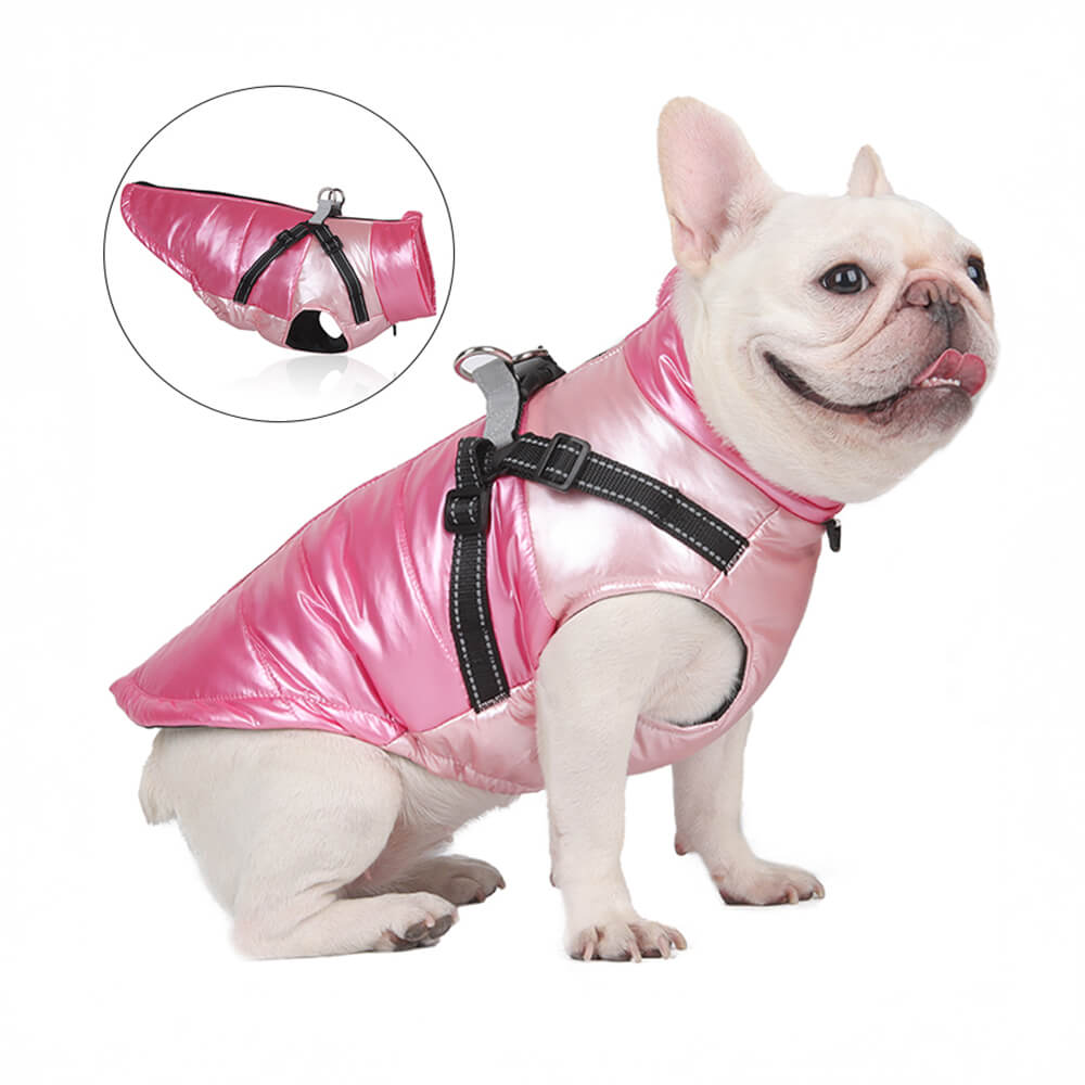 Veste chaude réfléchissante et imperméable pour chien, coupe réglable et sécurité, chic