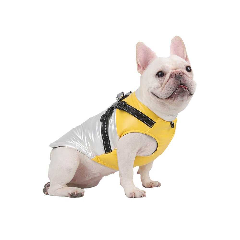 Veste chaude réfléchissante et imperméable pour chien, coupe réglable et sécurité, chic