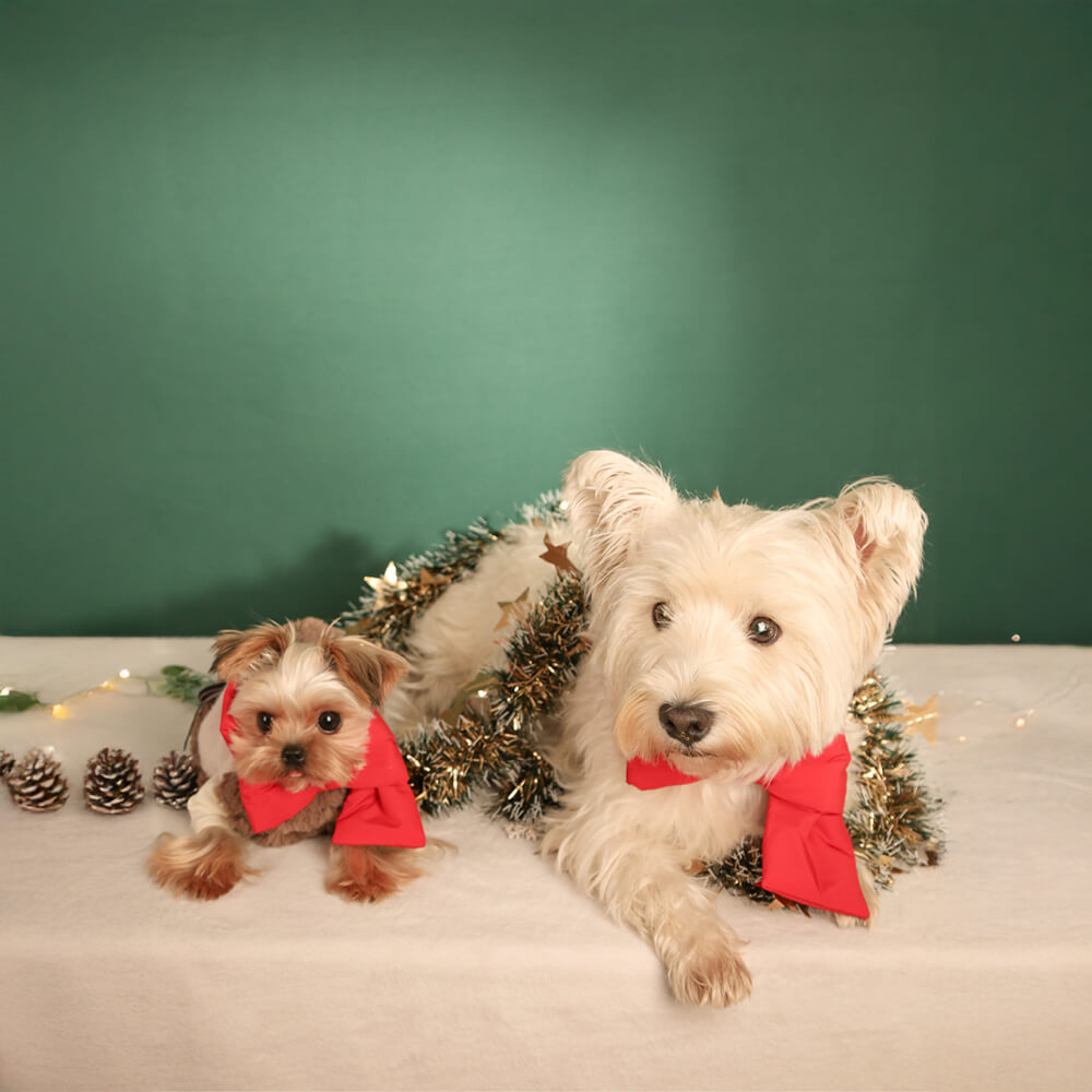 Écharpe réglable pour chien et chat avec nœud papillon de Noël