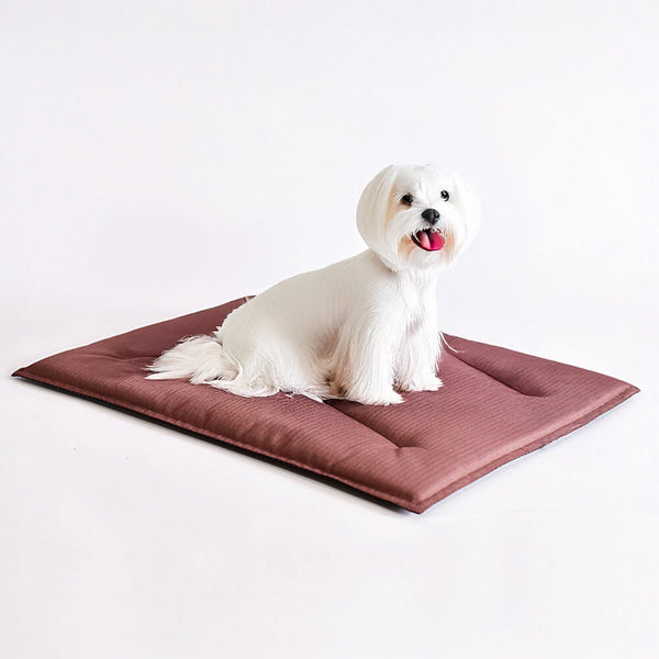 Alfombra de perros de tela de tela oxford resistente a rasguños duraderos