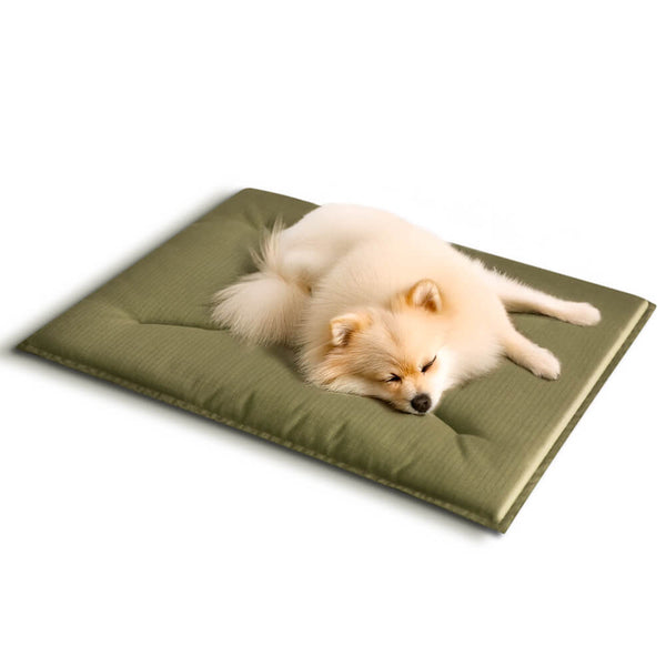 Alfombra de perros de tela de tela oxford resistente a rasguños duraderos