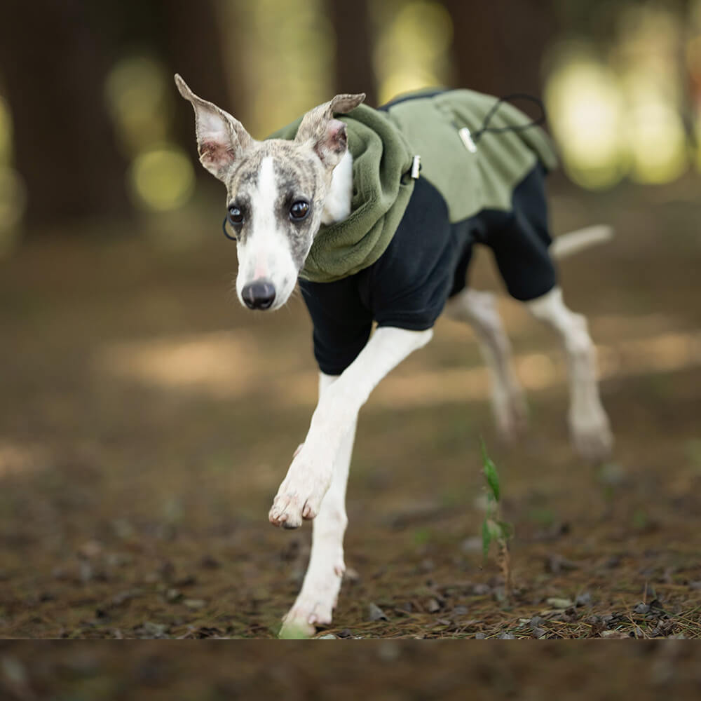 Vierbeiniger, warmer Polarfleece-Hundemantel mit abnehmbarem Rollkragen