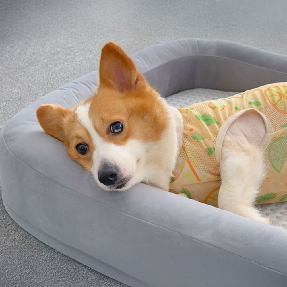 Functional Soft Plush Orthopedic Washable Dog & Cat Bed