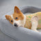 Functional Soft Plush Orthopedic Washable Dog & Cat Bed