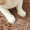 Weiche, rutschfeste, flauschige Plüsch-Teppichmatte für Hunde und Katzen