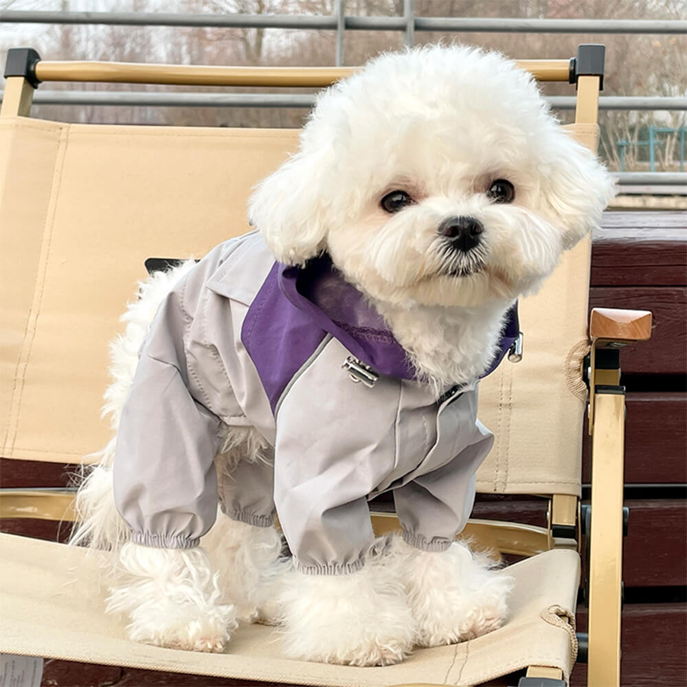 Veste à capuche pour chien, élégante, imperméable, coupe-vent, réglable, pour l'extérieur