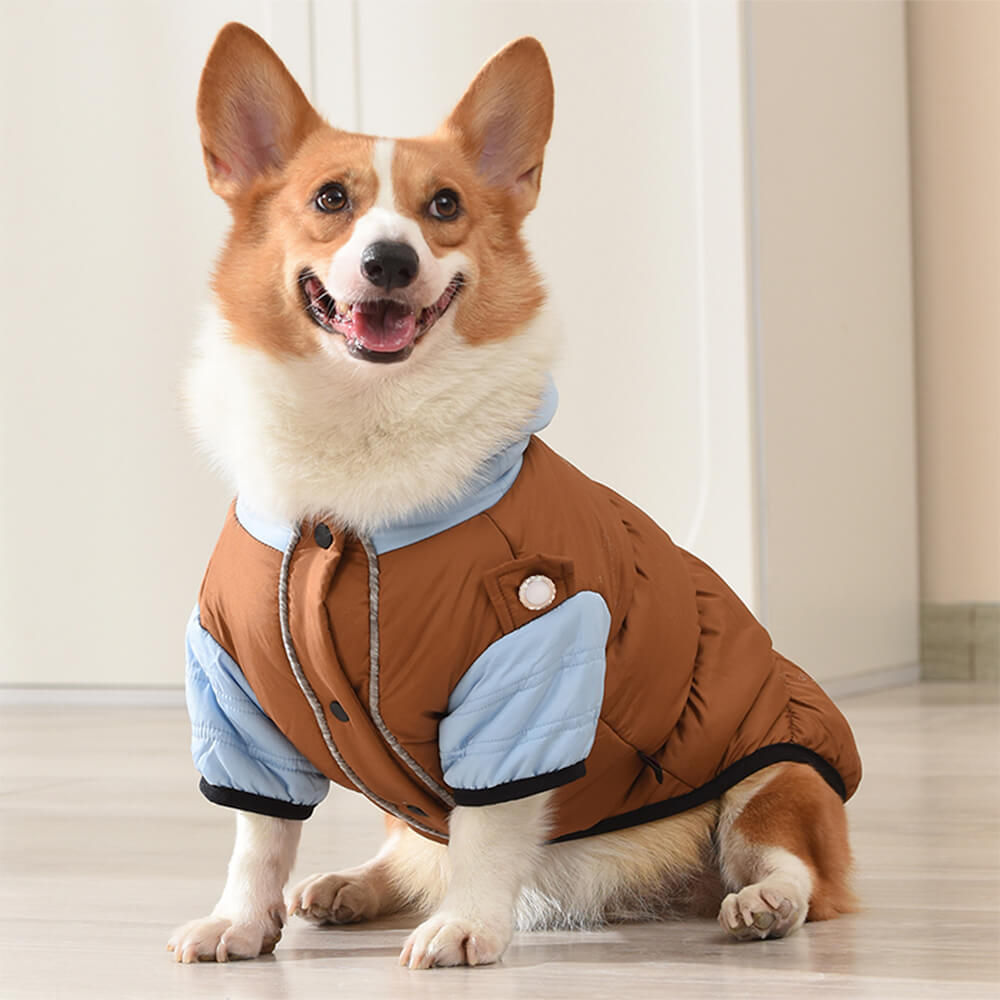 Veste à capuche pour chien, imperméable et coupe-vent, coupe chaude et ajustable