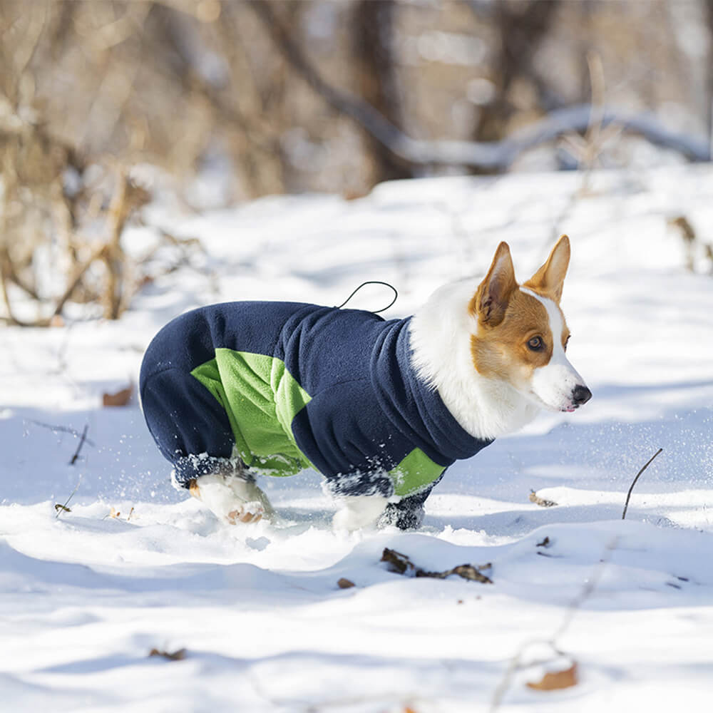 Winddichter Ganzkörper-Wärme-Rollkragenpullover aus Polarfleece für Hunde