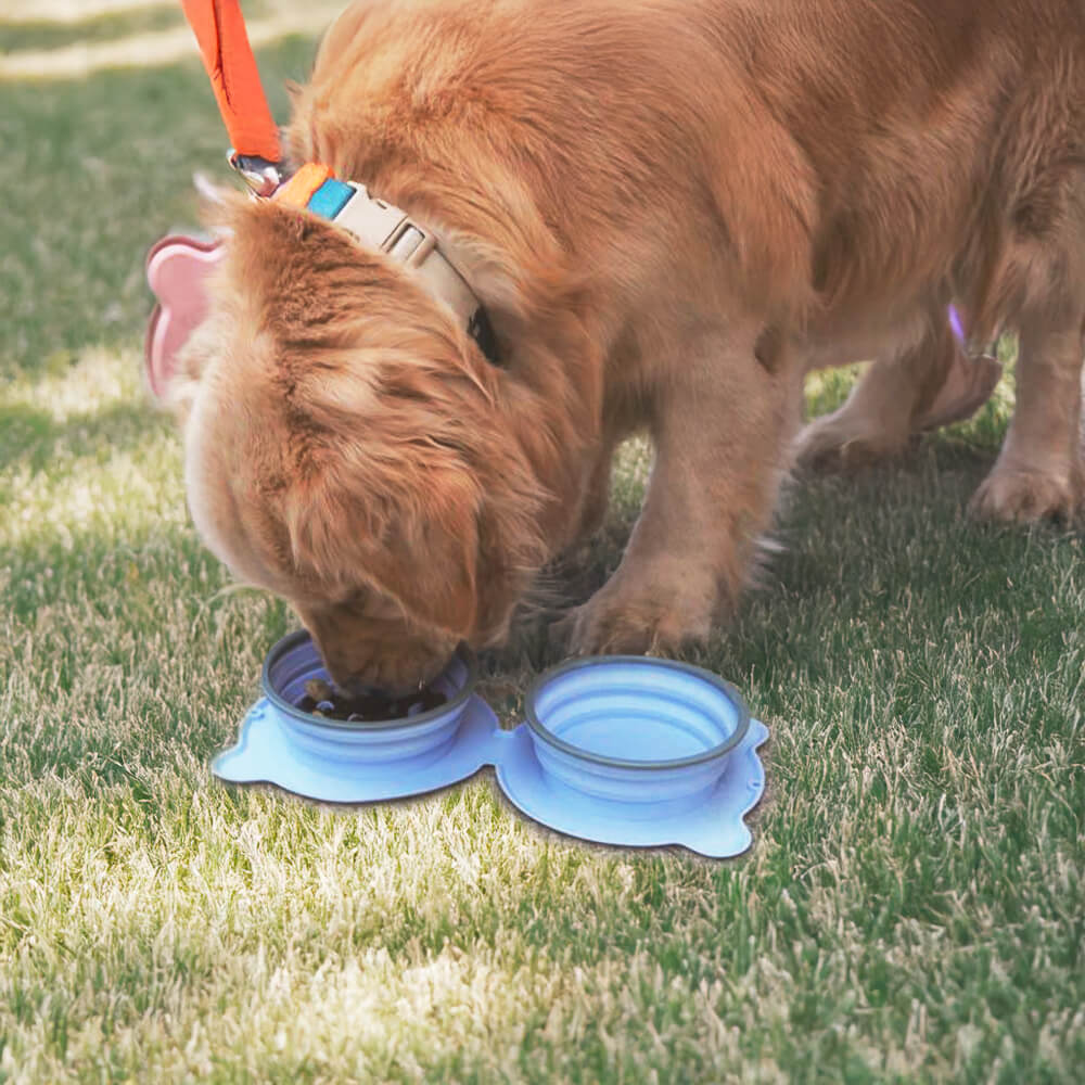 Travel Silicone Non-Toxic Portable Collapsible Dog Water Bowl