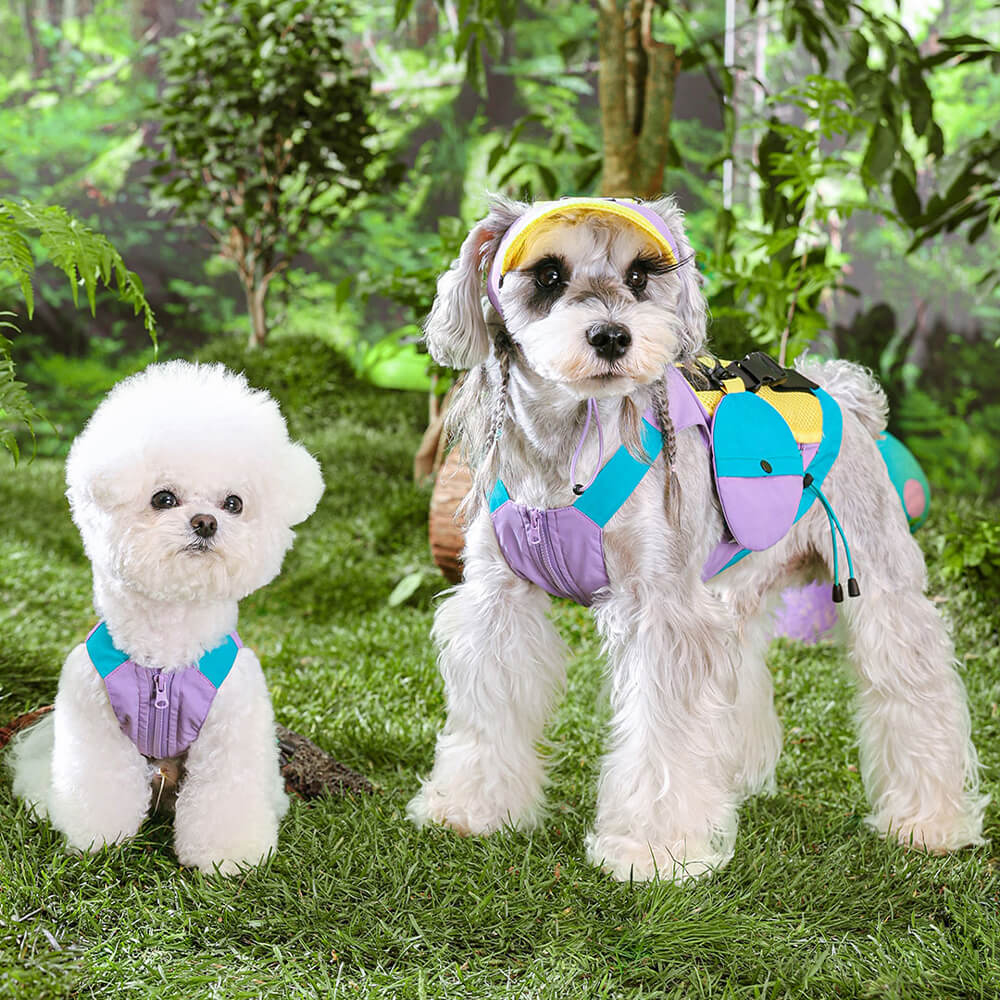 Gilet pour chien coloré à la mode avec chapeau de soleil pour petits chiens