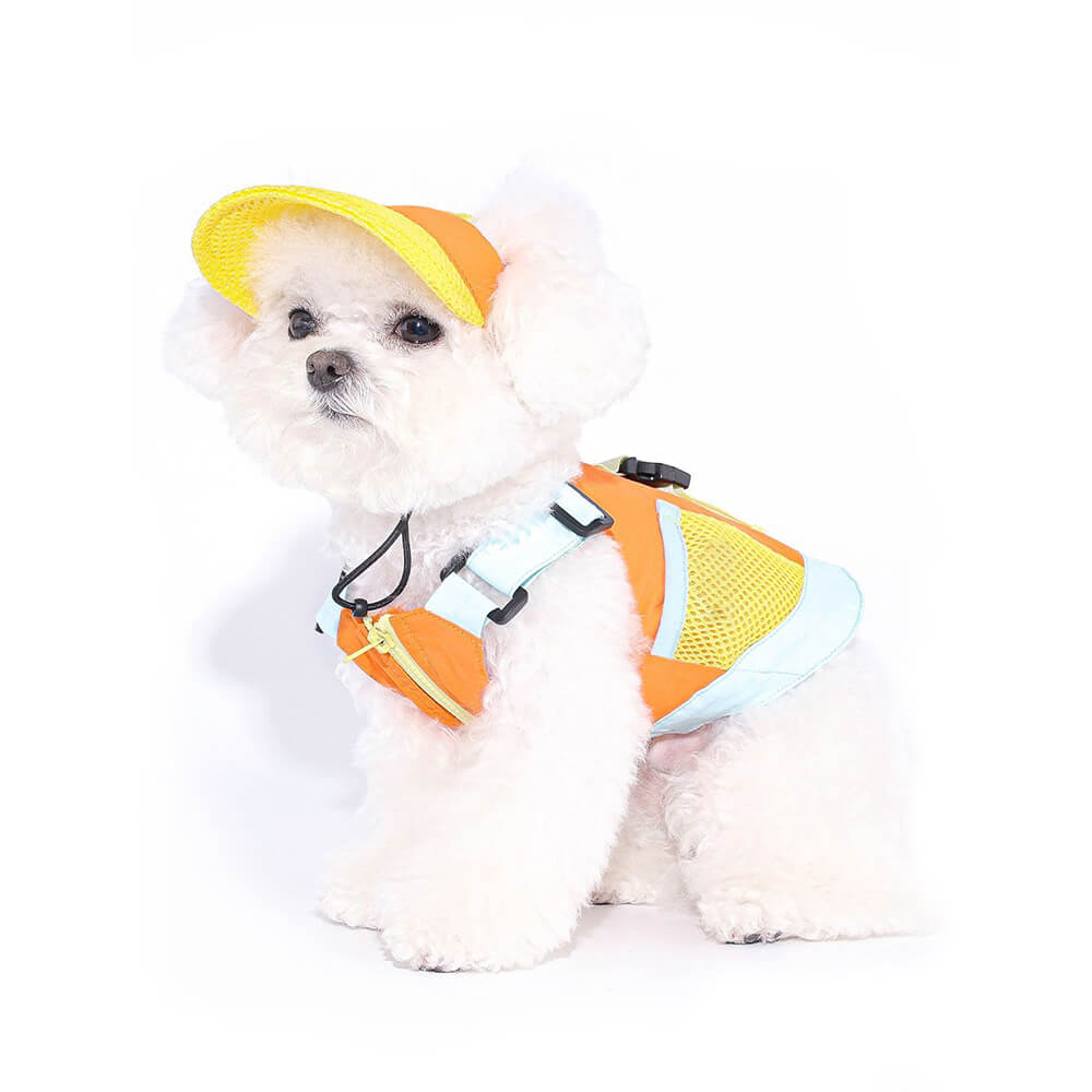 Colete colorido elegante para cães com chapéu de sol para cães pequenos