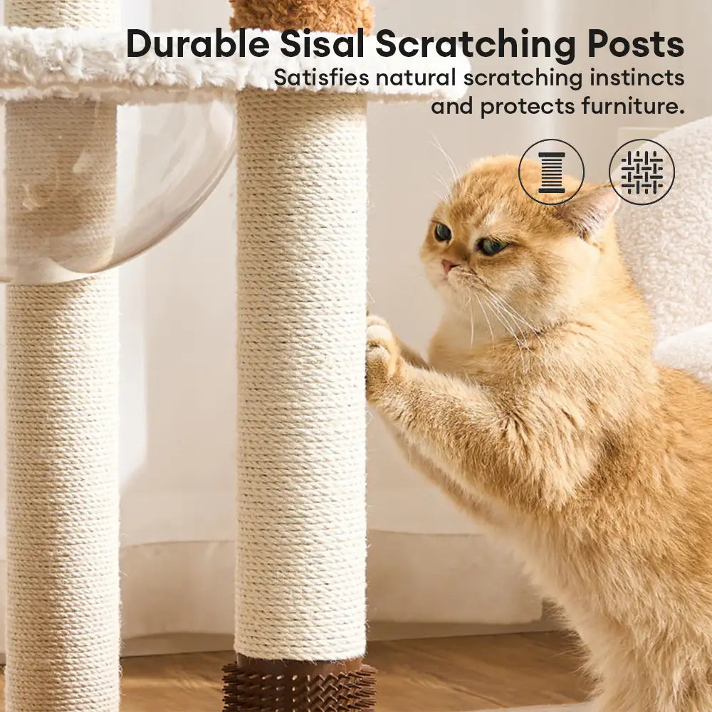 Flower Multi-Level Cat Climbing Frame Scratching Post Cat Tree with Space Capsule