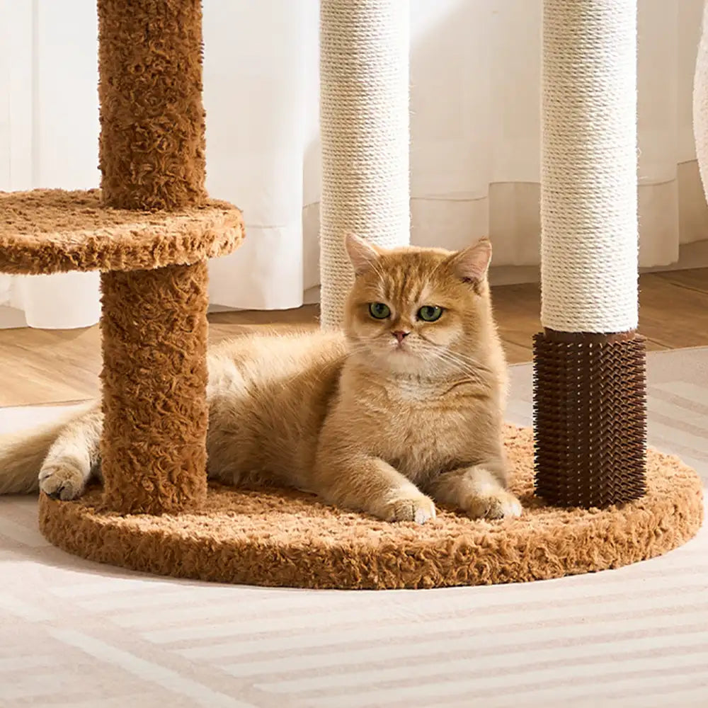 Flower Multi-Level Cat Climbing Frame Scratching Post Cat Tree with Space Capsule