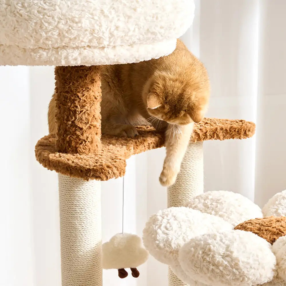 Flower Multi-Level Cat Climbing Frame Scratching Post Cat Tree with Space Capsule