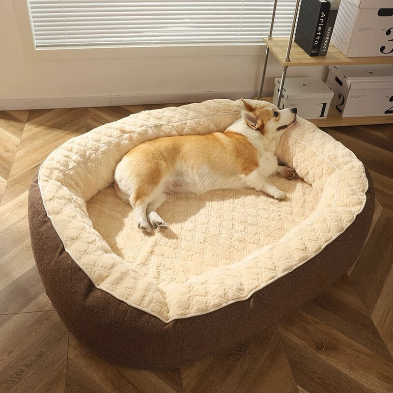 Flauschiges tiefes Schlaf-großes ovales Hundebett