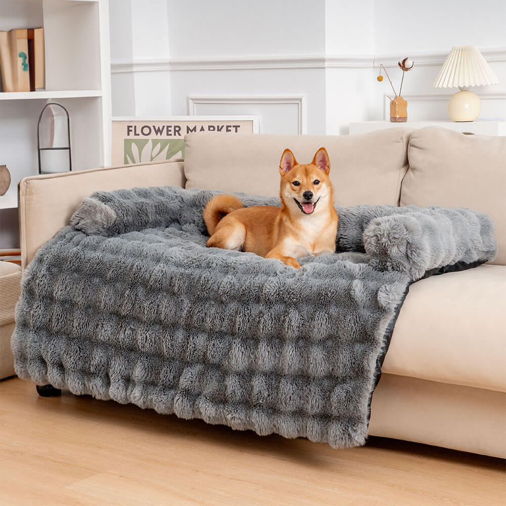 Dog covering food with blanket best sale