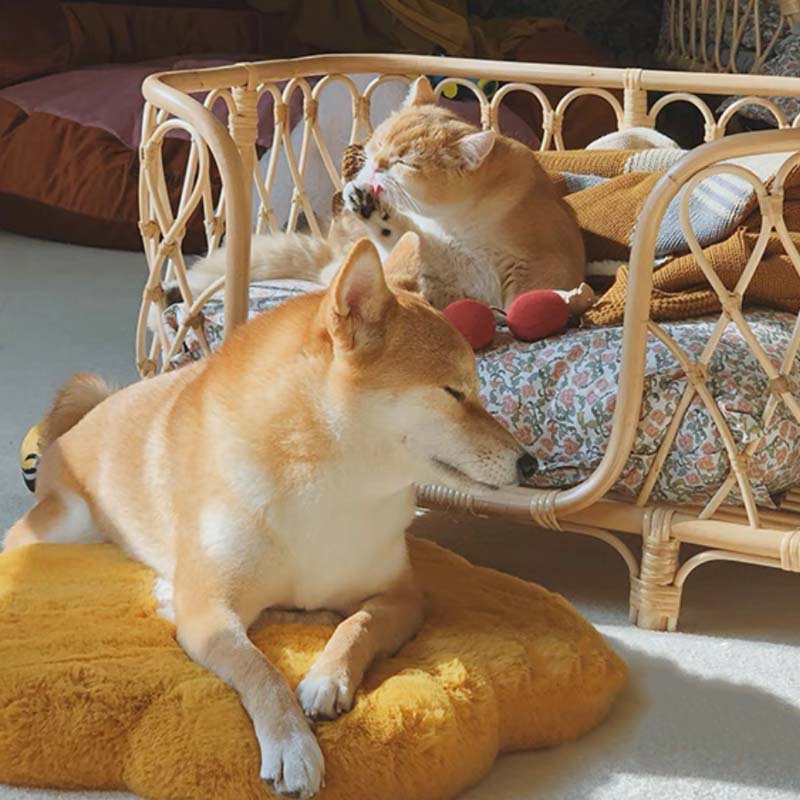 Coussin de siège moelleux pour chat en mousse à mémoire de forme tournesol