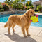 Football Floating Dog Toy with Straps