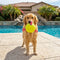 Football Floating Dog Toy with Straps