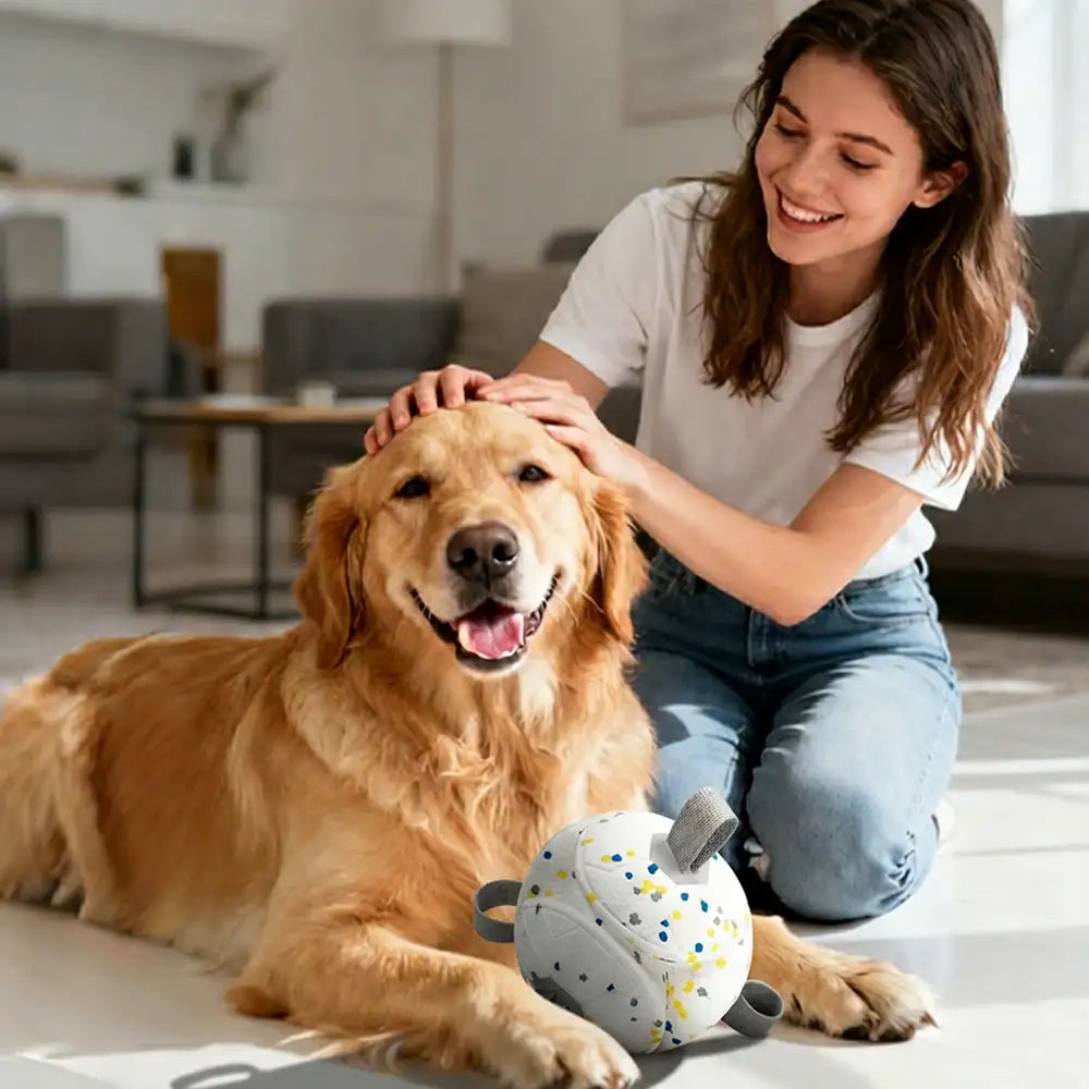Football Floating Dog Toy with Straps
