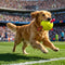 Football Floating Dog Toy with Straps