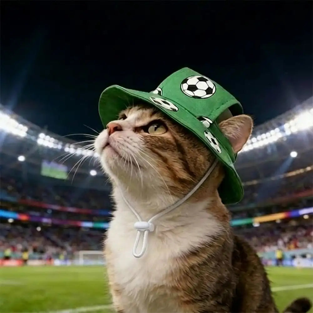 Football Pattern Pet Hat