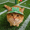 Football Pattern Pet Hat