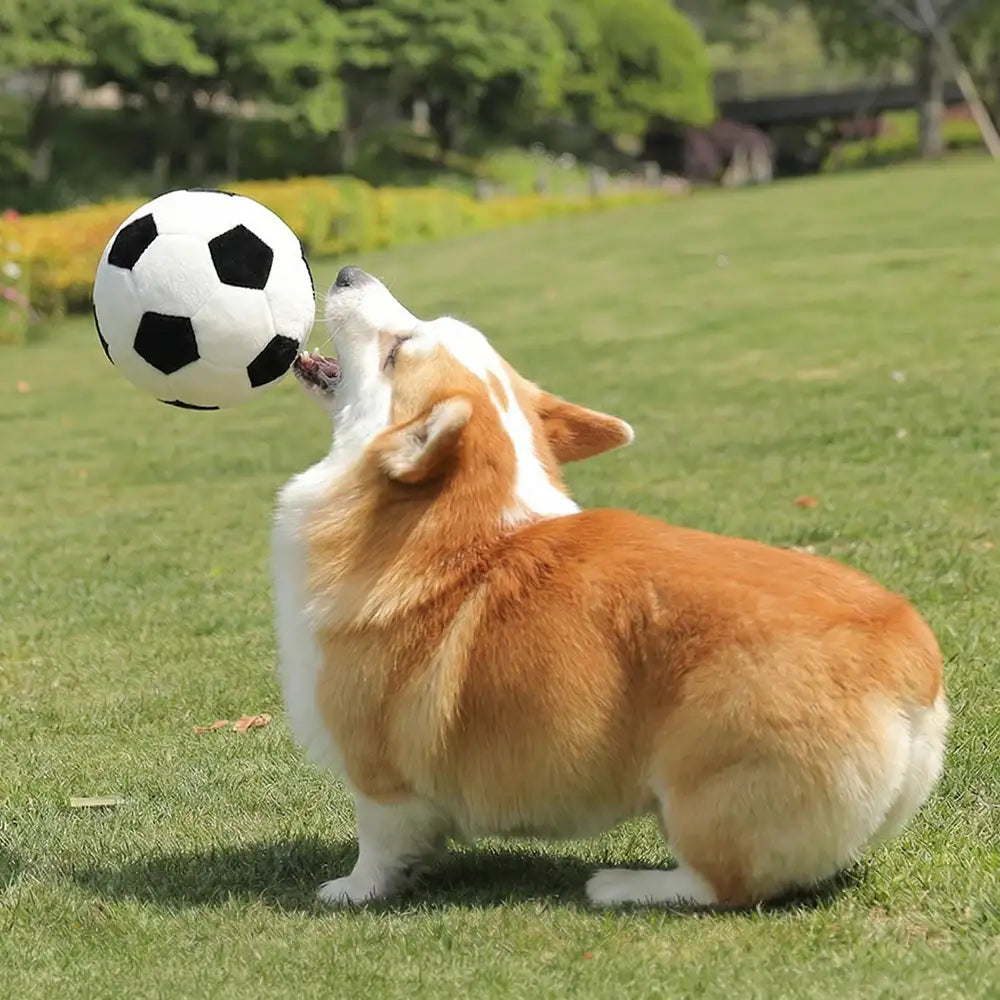 Football Plush Pillow
