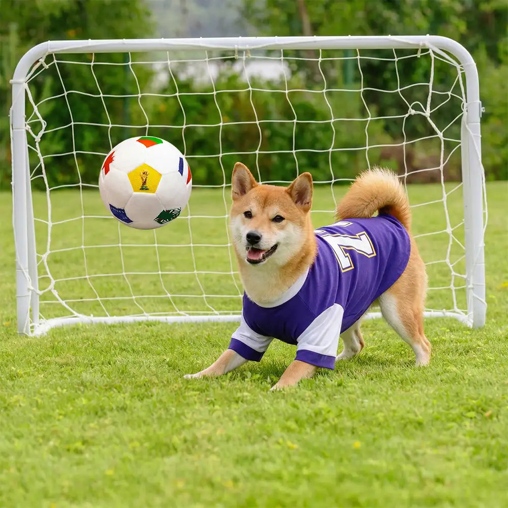 Football Plush Pillow