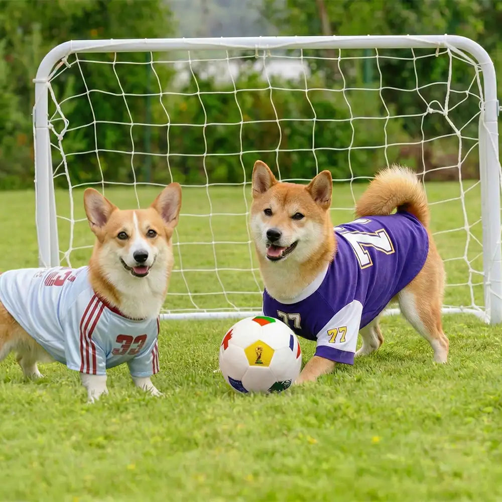 Football Plush Pillow