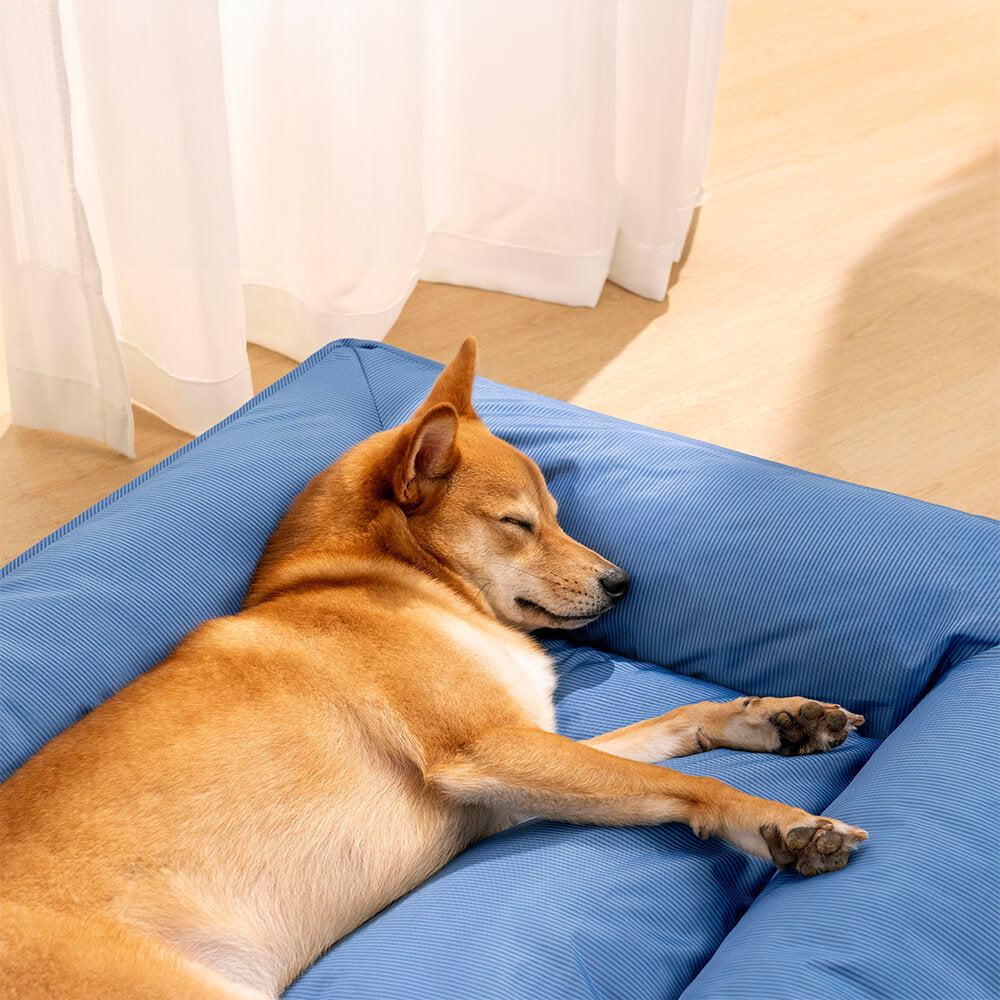 Support surround entièrement orthopédique, tissu imperméable, Anti-anxiété, grand lit pour chien