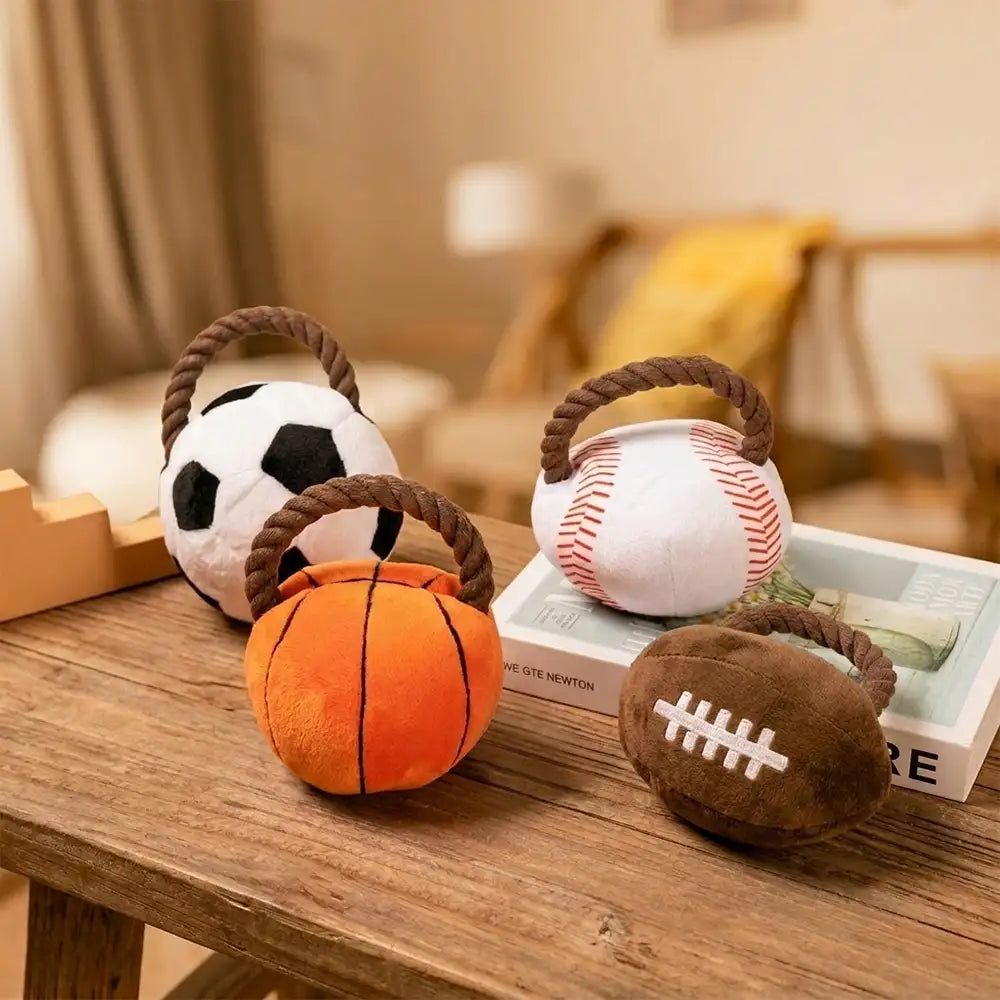 Fun Balls Dog Rope Chew Toy